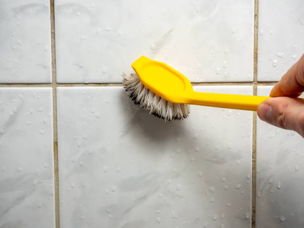 Best Mold Damage Repair  in Princeville, HI
