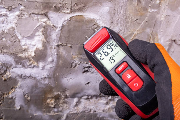 Best Professional Mold Removal  in Princeville, HI