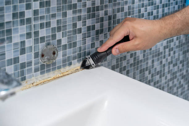 Best Mold Cleaning Services  in Princeville, HI