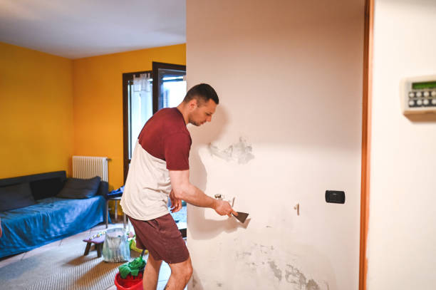 Reliable Princeville, HI Mold Removal Solutions