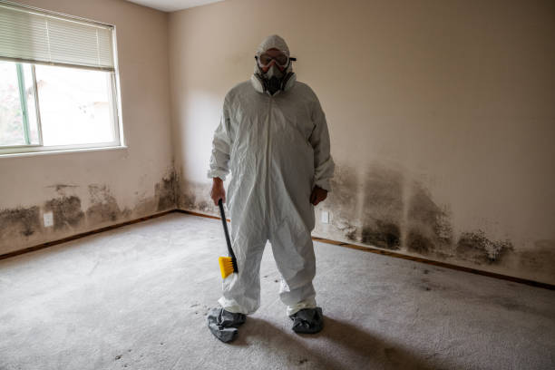Best Crawl Space Mold Removal  in Princeville, HI