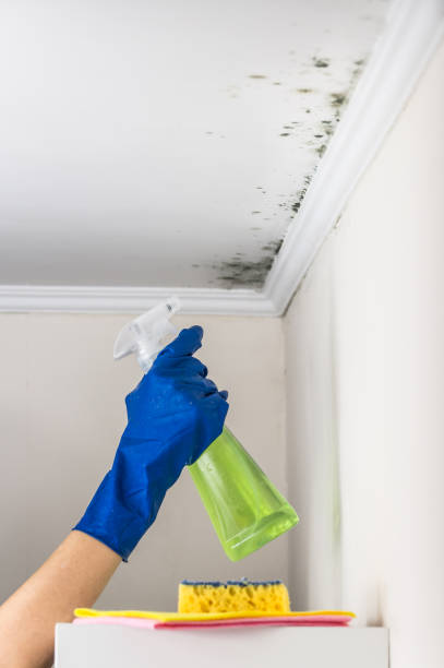 Water Damage Restoration in Princeville, HI